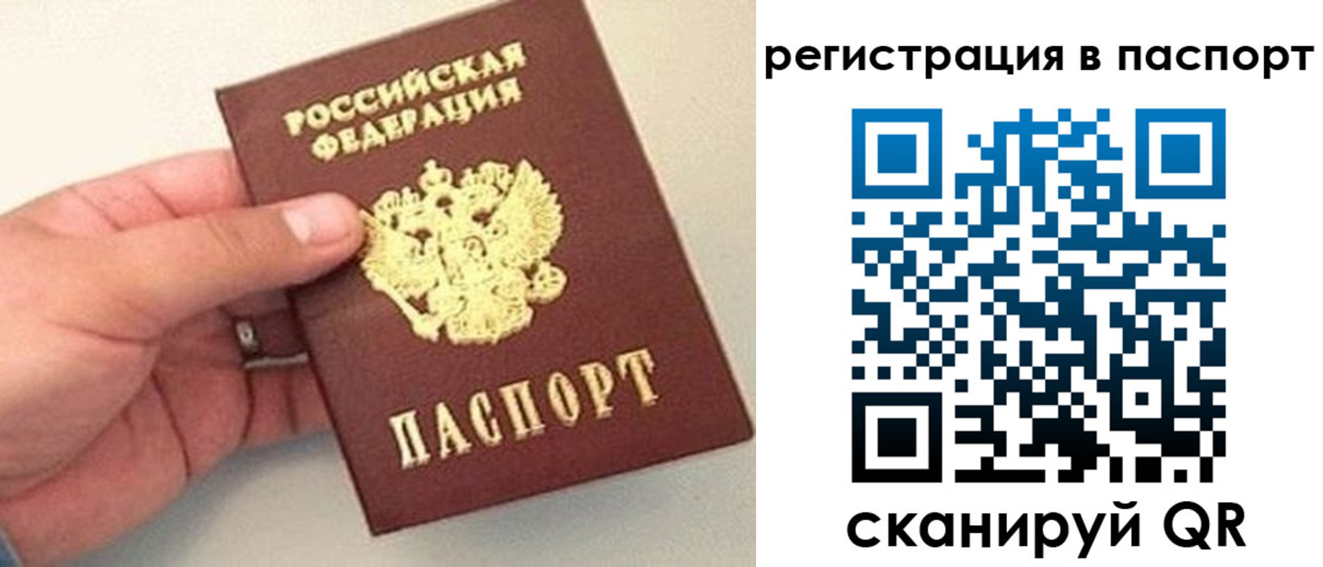 прописка законно в Михайловке